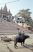 Varanasi - Assi Ghat 